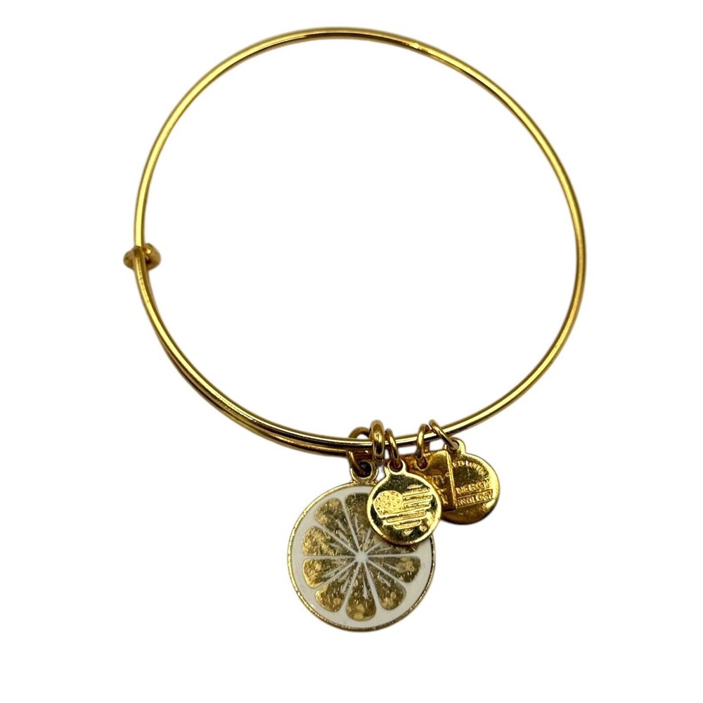 Alex And Ani Lemon Fruit Gold Expandable Charm Bracelet - Picture 1 of 2